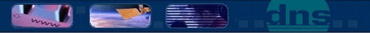 DNS Companies