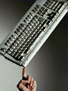 Web Design Services