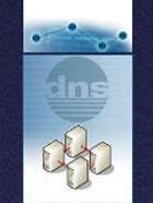 Dynamic Networking Solutions